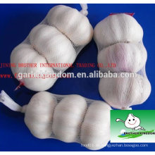 Verkaufen weißen Knoblauch (5.0cm 3pcs Ineinander greifenbeutel)